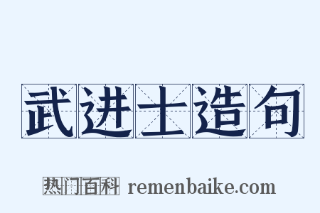 武进士造句是什么意思的图片